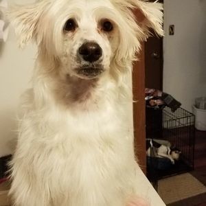 Meet your Posher, Vicki